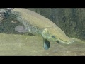 埼玉県さいたま水族館(淡水魚の水族館)