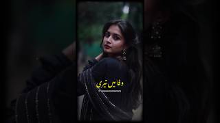 Pakistani WhatsApp Status | Urdu Lyrics | Sahir Ali Bagga Status | New Pakistani Ost Status #shorts screenshot 5