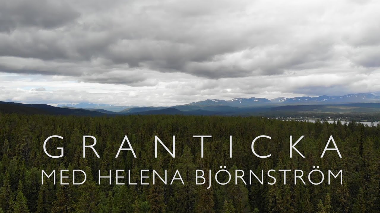 Signalarter: granticka