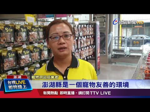 迎寵物商機!民宿開放入住 搭洗澡美容服務