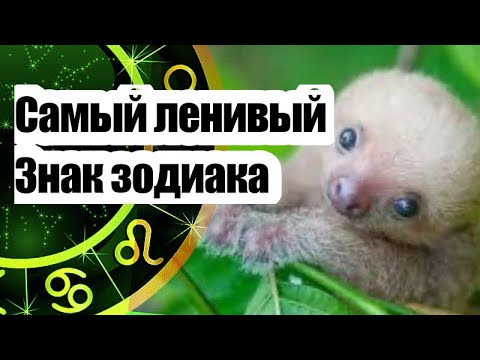 Самый ленивый знак зодиак/гороскоп/астрология/все о знаках ￼зодиака
