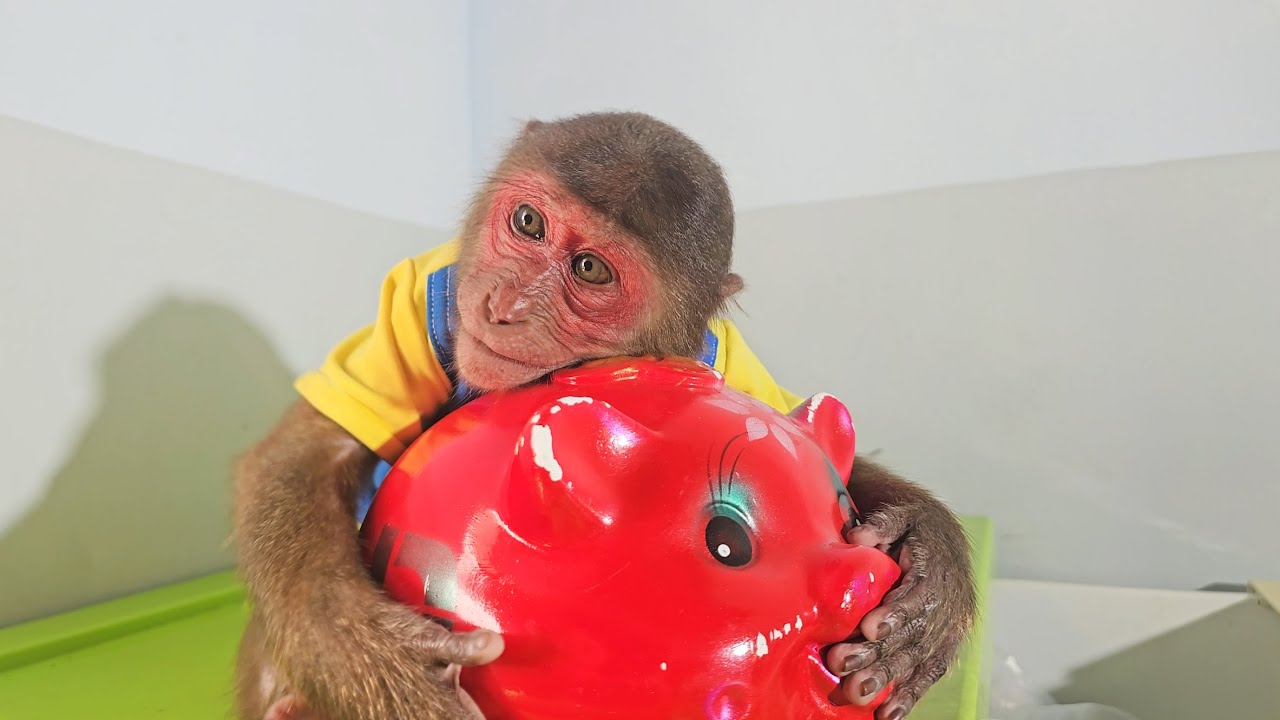 Su regrets piggy bank to compensate for incident at market