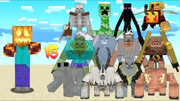 Zombin vs All Mutants / Minecraft Mob Battle