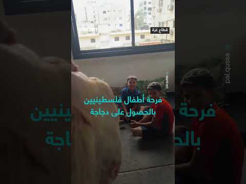 فرحة أطفال غزة برؤية دجاجة بعد عام من الحصار