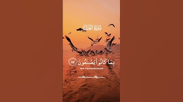 سورة النحل 🤍 #تلاوة_خاشعة #عبدالرحمن_مسعد #ترند #اكسبلور