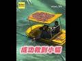 小貓掉進麗寶急流泛舟區！遊客急通報人搭船急救援
