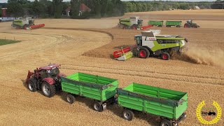 Gerstenernte mit 3 X Claas Lexion 6800 | Case IH | Fendt | Massey Ferguson | HW80 Zug