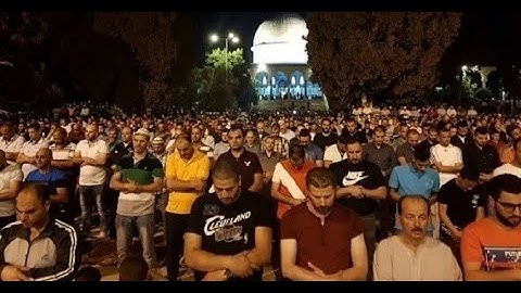 سورة الرحمن |  من صلاة التراويح  غسان الشوربجي