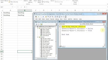 How to Hide or Unhide Sheets in Excel VBA (In Hindi)