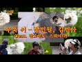 왜냐맨 (김민아 &amp; 장민철) - 우뚝 서 1시간 (1 hour), 가사 | Loud G 왜냐맨4 ver.