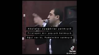 Vuqar biləcəri-akulalar oyaqdilar yatmıyıb Resimi