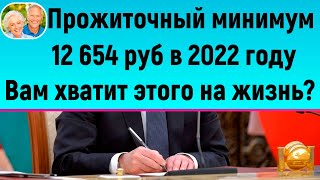 Прожиточный минимум в 2022 г. будет 12654 рублей // Этих денег хватит на жизнь?