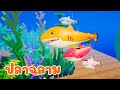 เพลง ปลาฉลาม - KidsMeSong Music Official