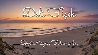 Fi̇dan Ari - Deli̇ Fi̇şek