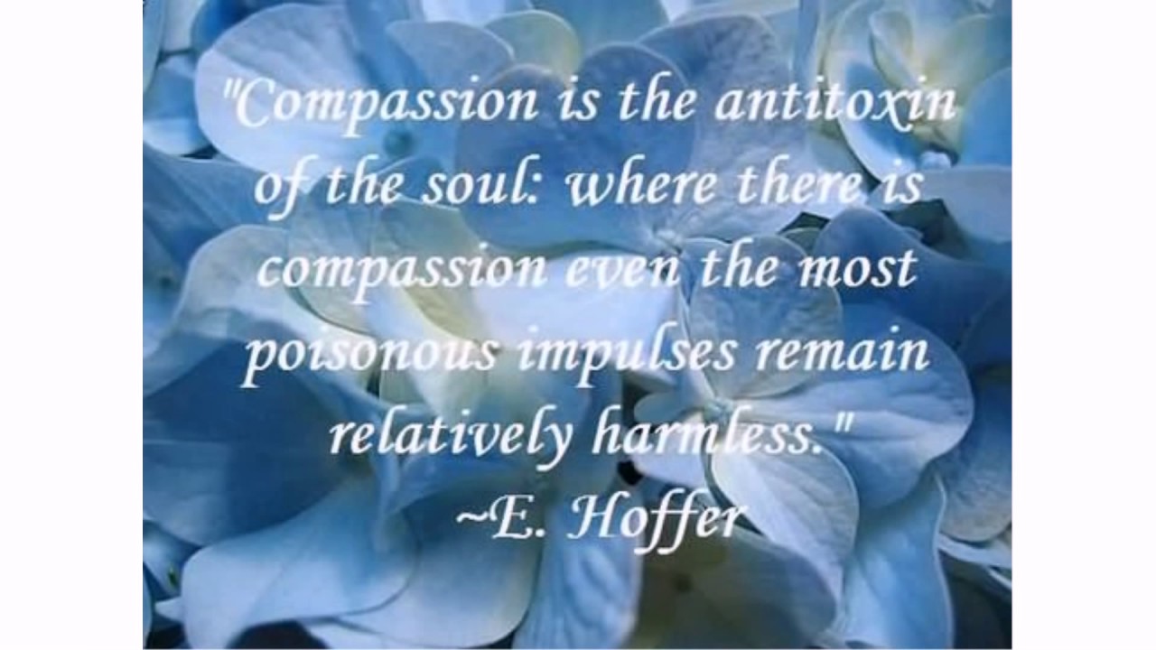 Compassion Quotes Youtube