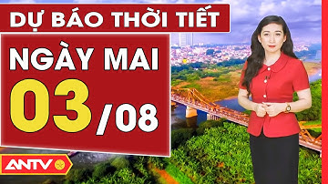 Dự báo thời tiết ngày mai 3/8: Miền Bắc nhiều mây, tiếp tục mưa to và dông | ANTV
