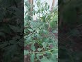 Лето у каждого Свое...