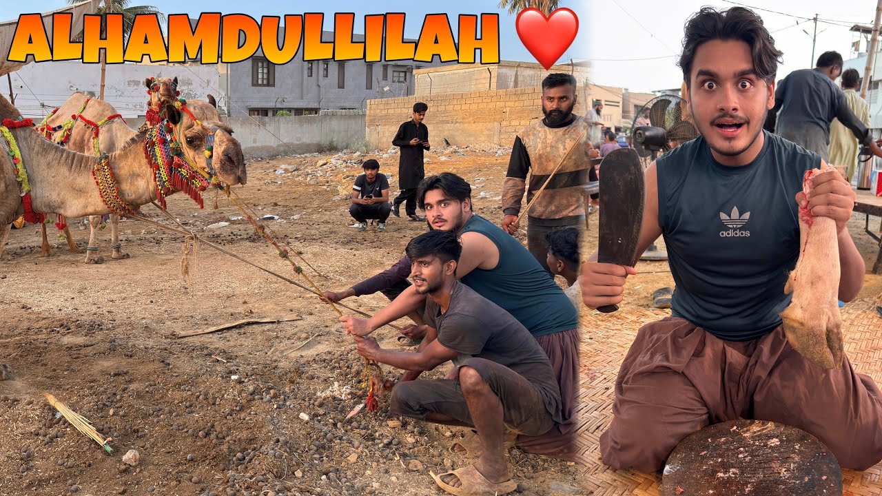 Angry Camel Ko Zibah Kardiya😱🐪 | Hum Baney Qasai😤🔪 | Bakra Eid Day 3