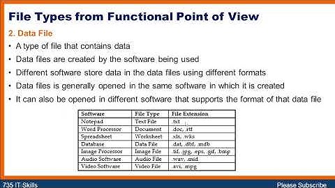File Types From Functional Point of View |  Program file and Data file || ICS 2nd year