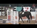 2018 Thoroughbred Makeover Finale: Show Jumpers
