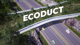 Ecoduct / Wildlife bridge / Fauna passage