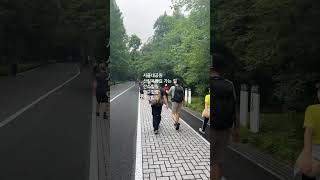 서울대공원 산림욕장길 주말힐링 산소힐링 안구정화 산소산소산소 비온후