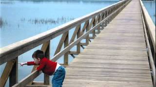 Welcome to the Islands of Beaufort