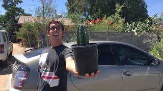 Gardening in TUCSON Arizona!