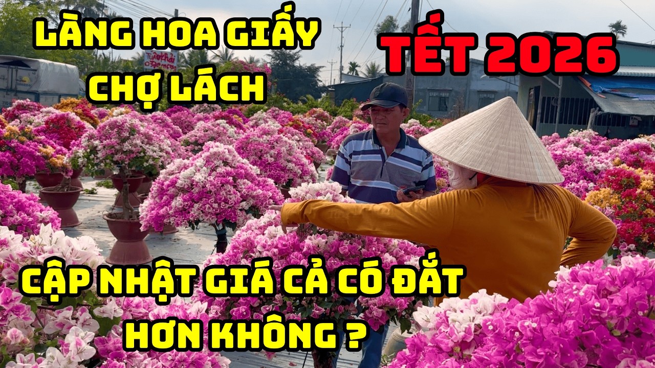 Cập Nhật Giá Cả 