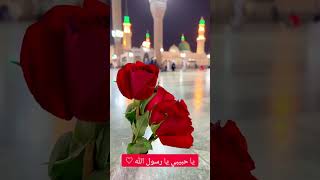 Rasûlallâh Sana Gönlümü Verdim🤍 - Medih