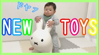 新しいおもちゃ買ったよ★まわしてくるくるサウンド/ファースト・ミュージックセット/ブルーナボンボン/ベビーゲート【生後８か月】