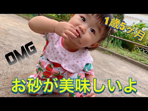 1歳5ヶ月 お砂を食べようとする雫ちゃん