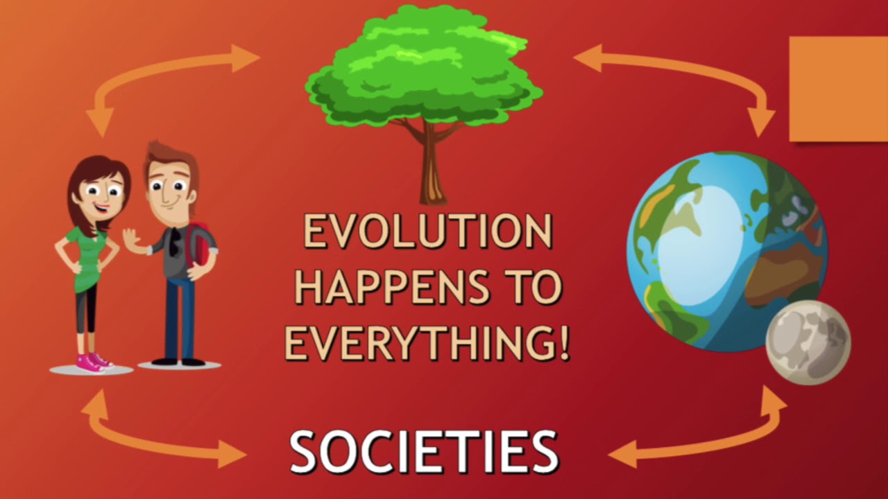 herbert spencer social evolution