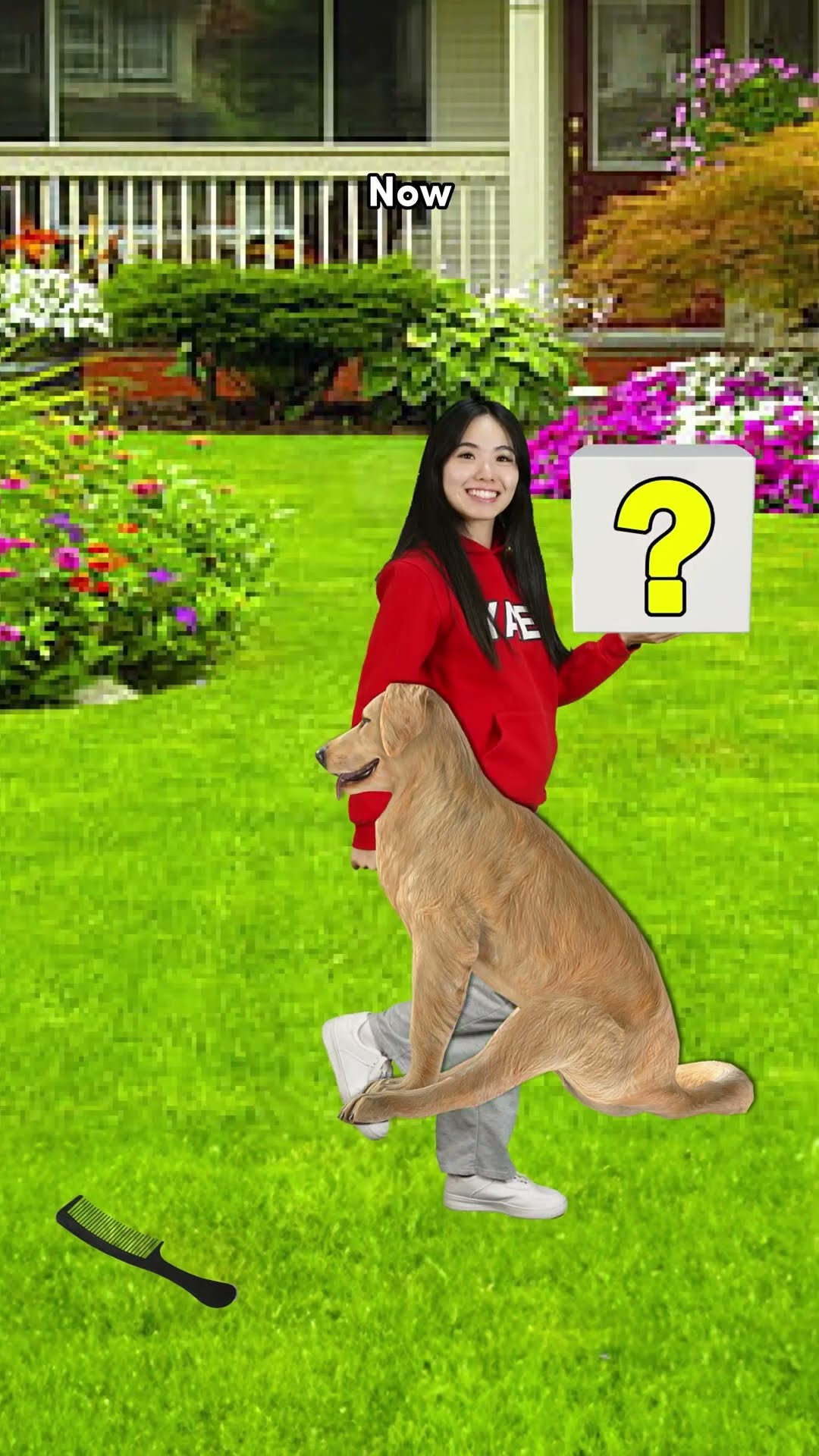 How to Find a Real Bigfoot
