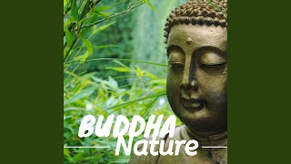 Music to Quiet Your Mind