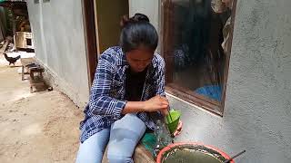 Bakasang laor 2019 desa latuhalat