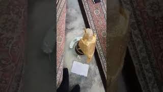 Kayseride Yakalanan 3750 Adet Elmas Ve Akit Taşından Özenle Yapılmış Altın Kartal Heykeli...