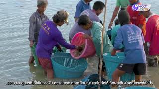คนไทยหัวใจเกษตร 22 เมษายน 2564 B3