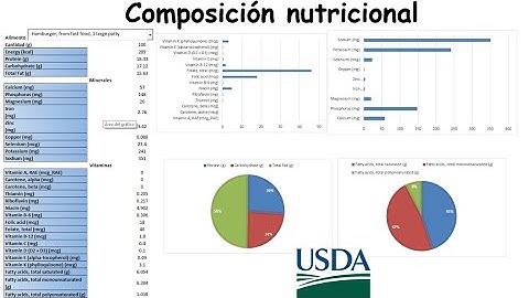 Composición nutricional de los alimentos en Excel