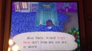Lets Play Animal Crossing Wild World Episode 68: Social Day
