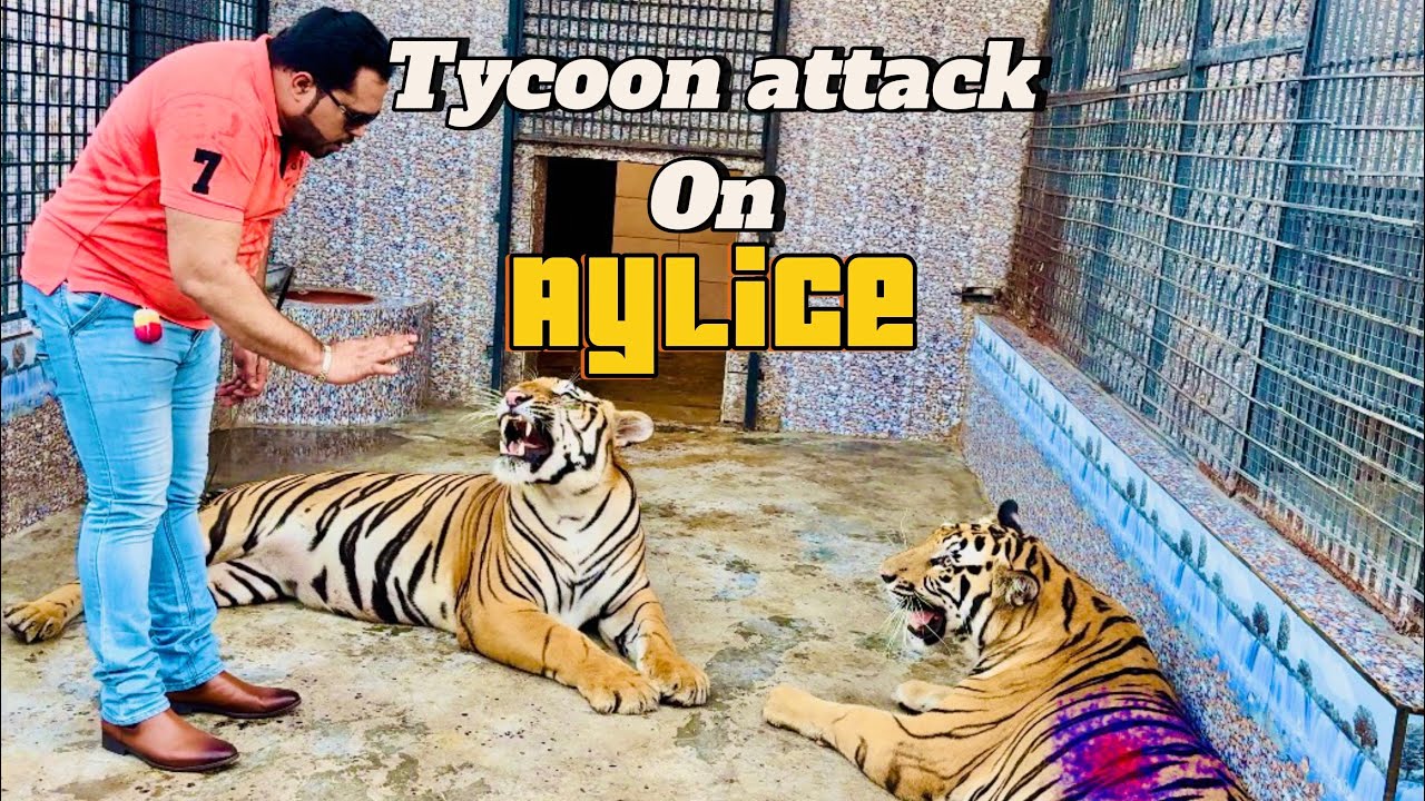 Aylice ko bohat mushkil say zakham pr spray kia