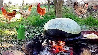 روتين يوم كامل في الريف طبخ تريدة الطاجين أو الفطير التقليدي الجزائري بالدجاج أنه طبق لذيذ وصحي