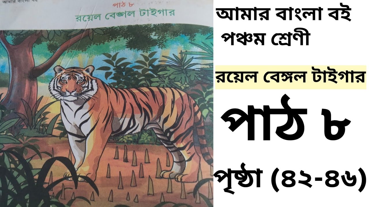 Royal Bengal Tiger | পঞ্চম শ্রেণীর বাংলা পাঠ ৮ সম্পূর্ণ ব্যাখ্যা ও প্রশ্নোত্তর | Class 5 Bangla 2026