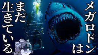 【生存説】メガロドンはまだ生きてる！？古代の巨大ザメが絶滅してない10の証拠