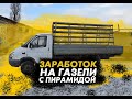 ЗАРАБОТОК НА ГАЗЕЛИ С ПИРАМИДОЙ | ГДЕ НАЙТИ РАБОТУ? СКОЛЬКО ПЛАТЯТ? КАКИЕ СЛОЖНОСТИ!