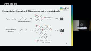 Fu, J (2023): Understanding protein variants with high-throughput mutagenesis and machine learning
