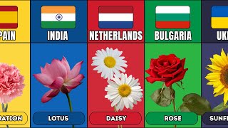 Download Lagu National Flowers From Different Countries MP3 Download Lagu National Flowers From Different Countries MP3