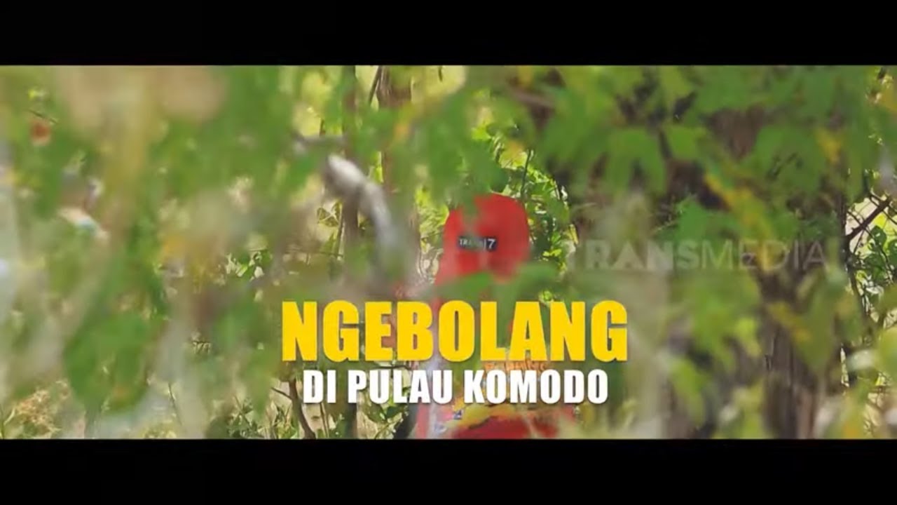 [FULL] Ngebolang Di Pulau Komodo | BOCAH PETUALANG (31/03/22)
