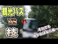 【運転動画】大型観光バスと枝との闘い