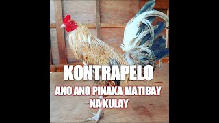 KULAY NA KONTRAPELO by KINGPAC 